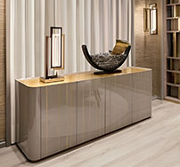 Design team presenting project proposal